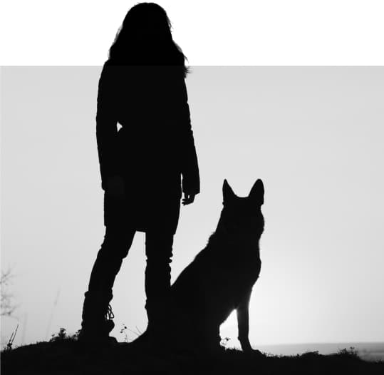 Fundo ilustrando a confiança e a segurança da MySide Fundo ilustrando a confiança e a segurança da MySide